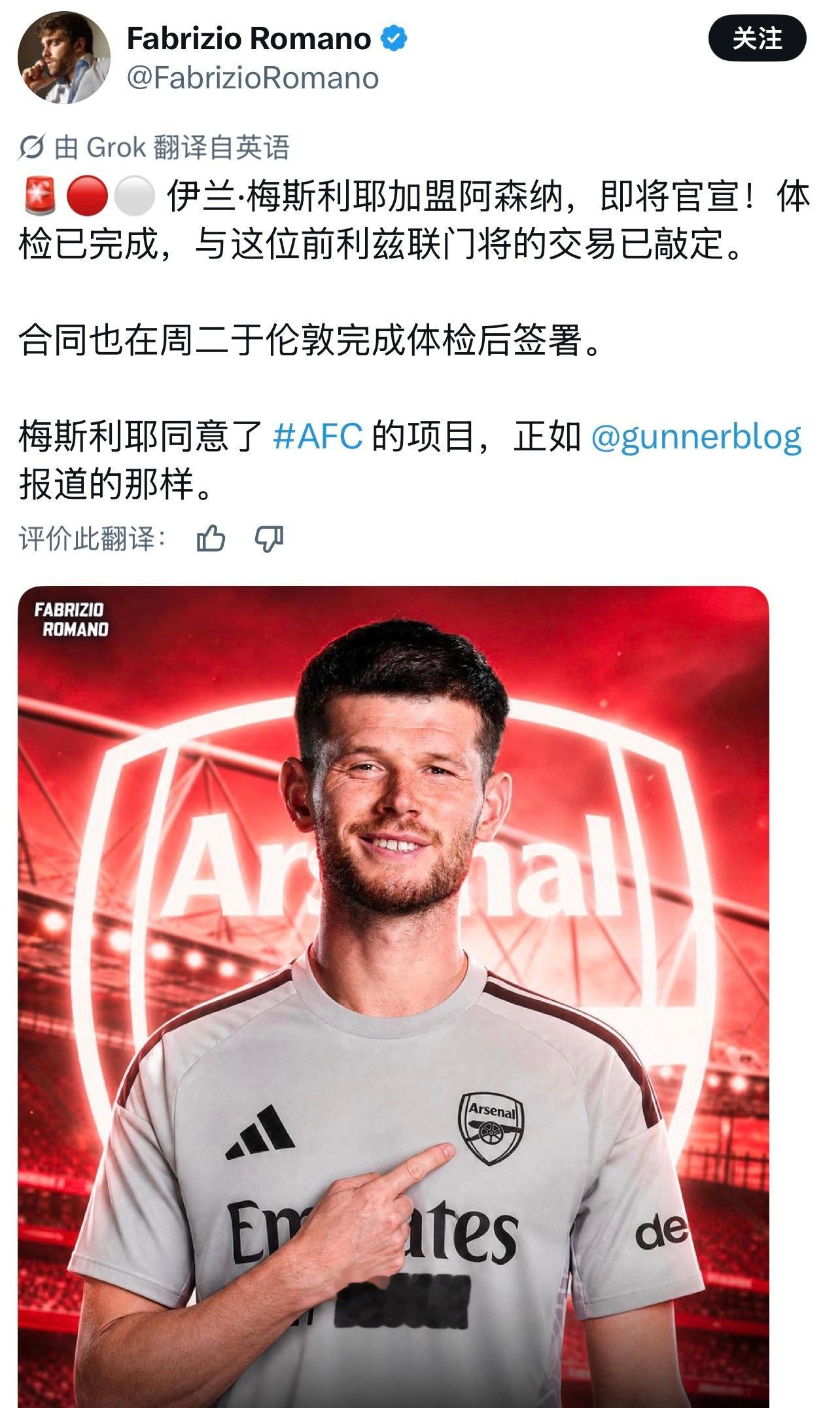 阿森纳 心理素质挺差的前妖人门将，感觉除了免签就没什么值得期待了，希望梅里耶在I