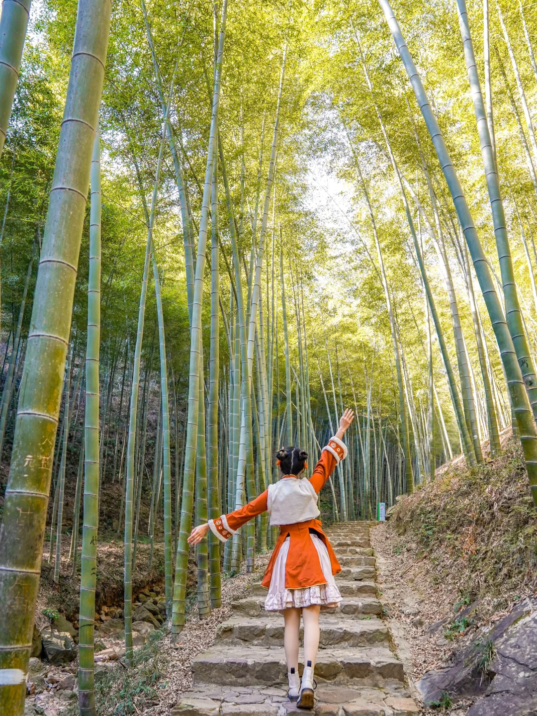 苏东坡没骗我‼️春节来宜兴这个地方值了
