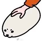 豹睡了一宿 ​​​