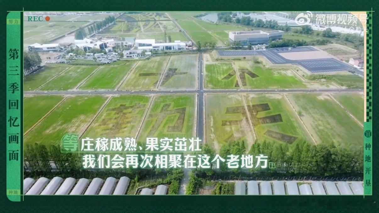 十个勤天太幸福会让人失忆十个勤天太幸福会让人失忆十个勤天田边回忆十个勤天又是一年