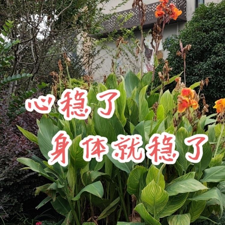 我习惯捕捉那些晚期病人的故事：只是首轮缓和性的治疗，之后靠着改变习惯、认真生活，