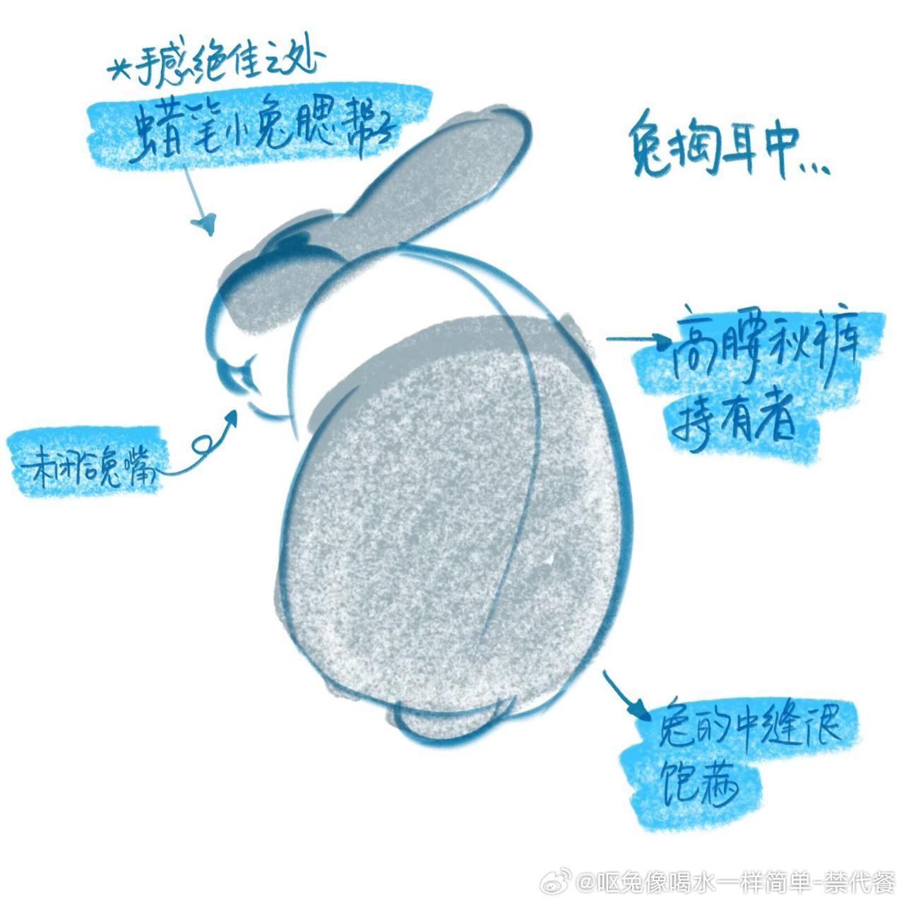 14507🐇【兔赏析】谁不为兔着迷 