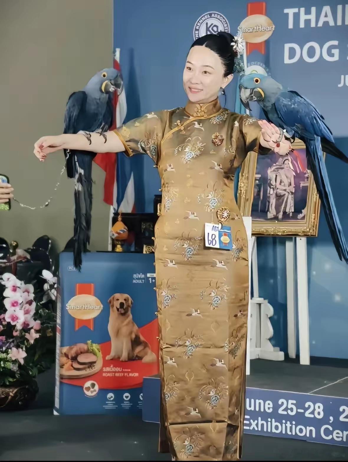 不知道大家有没有发现霍思燕身上有个奇怪的地方那就是，在她手边的动物都训练得，很乖