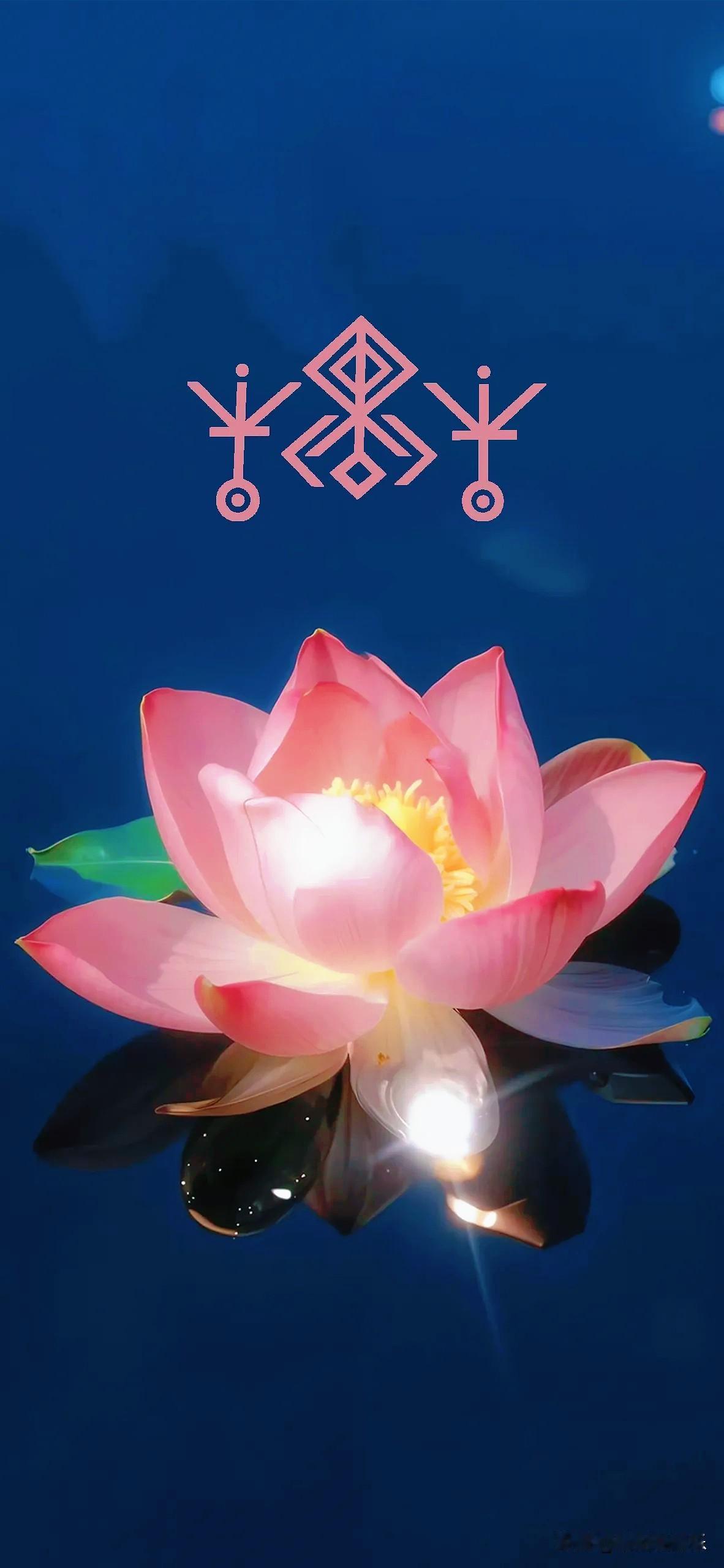 现在的中国，小日本还有可比性吗？远超他们