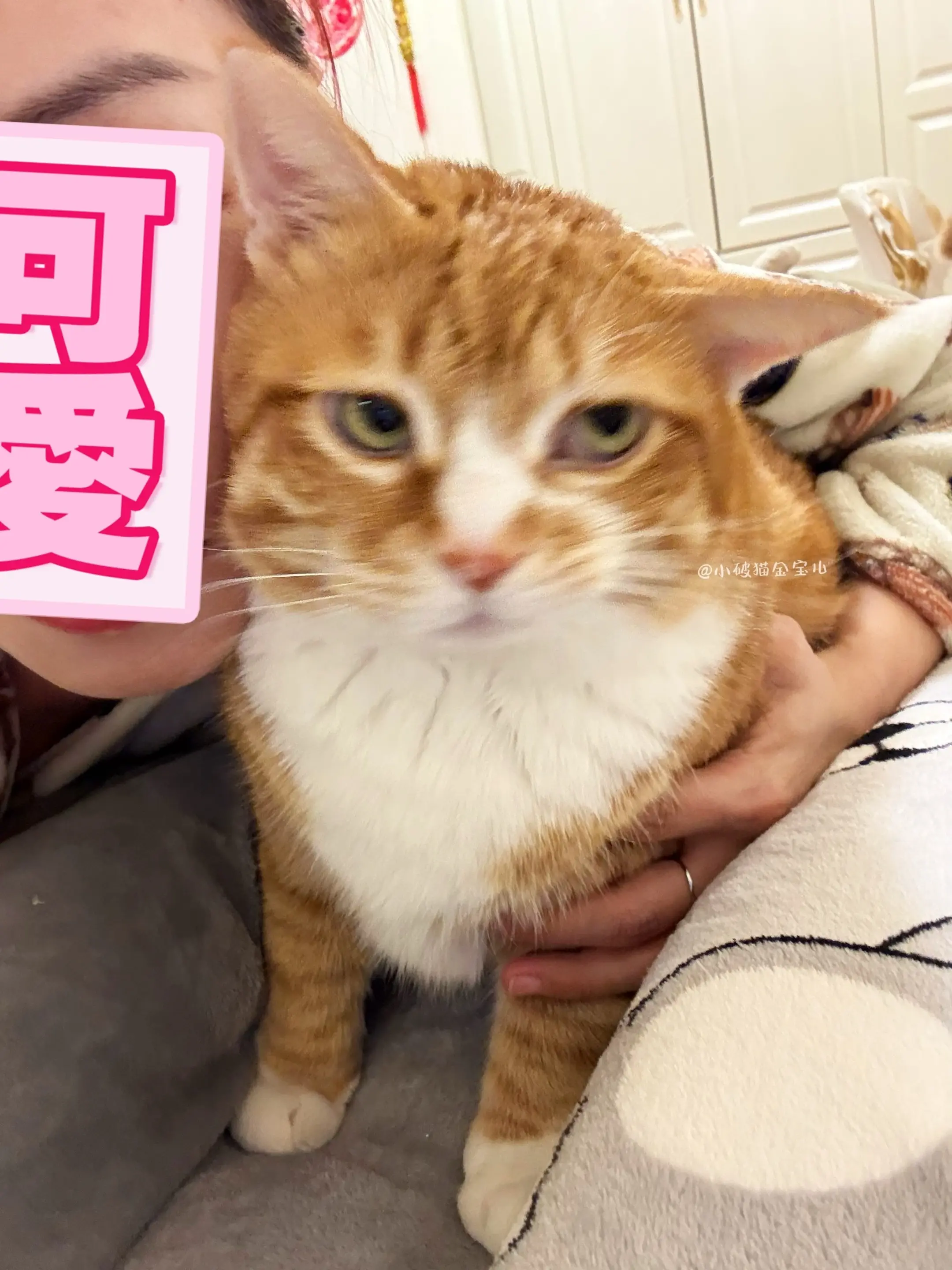 最适合我们母子关系的bgm出现了！！