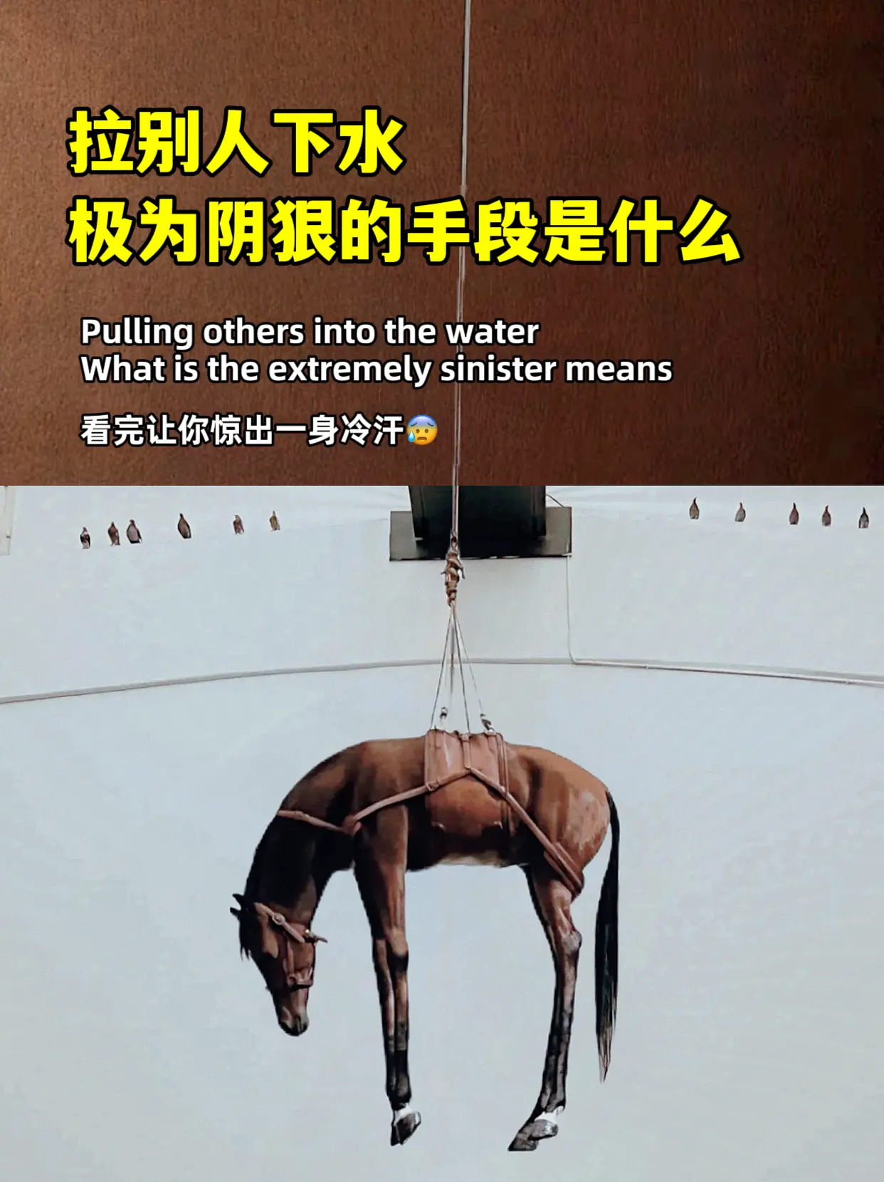 懂博弈的是玩家，不懂博弈的是玩具。生活中到处充满博弈，与自己、领导、同...