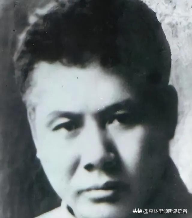 1934年，国民党少将莫雄救下近9万红军，1951年却被判处死刑，毛主席紧急下令