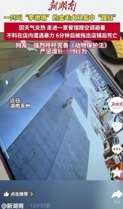 “太过分了！”7月7日，湖南永州，一女子养了一条金毛犬，去外面洗车忘锁家门，金毛