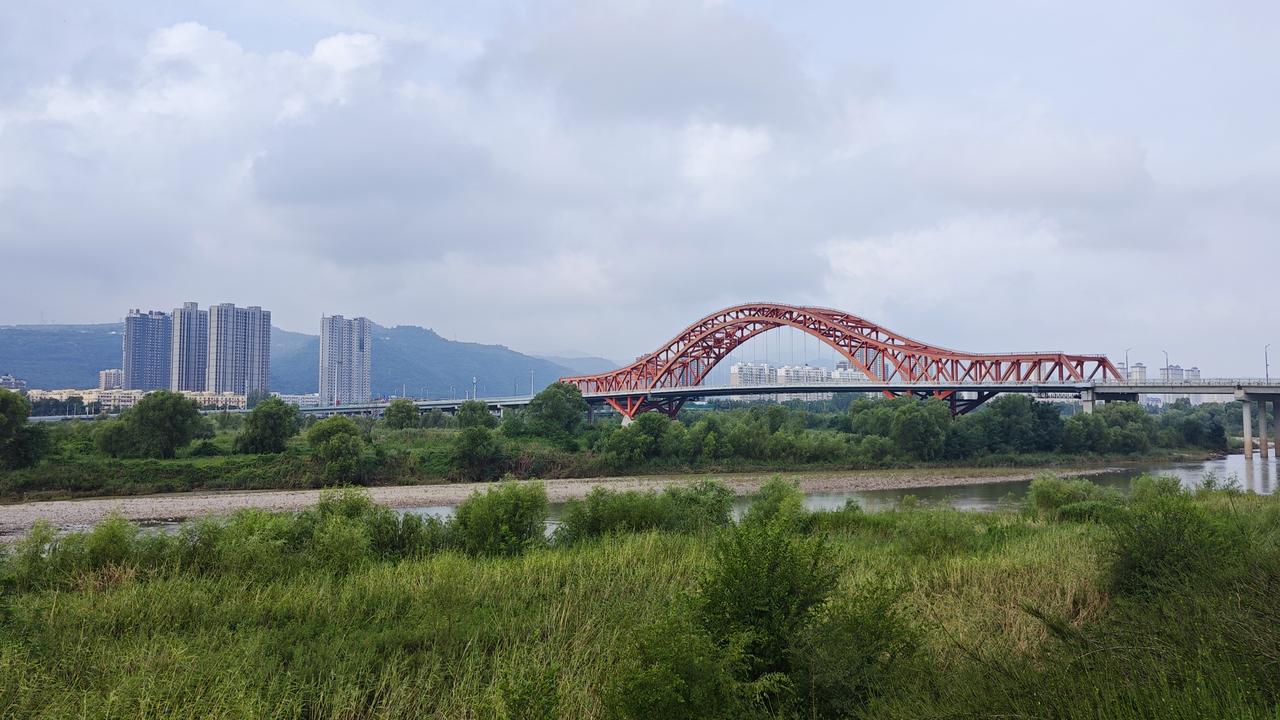 这座植物桥像彩虹横架在渭河上