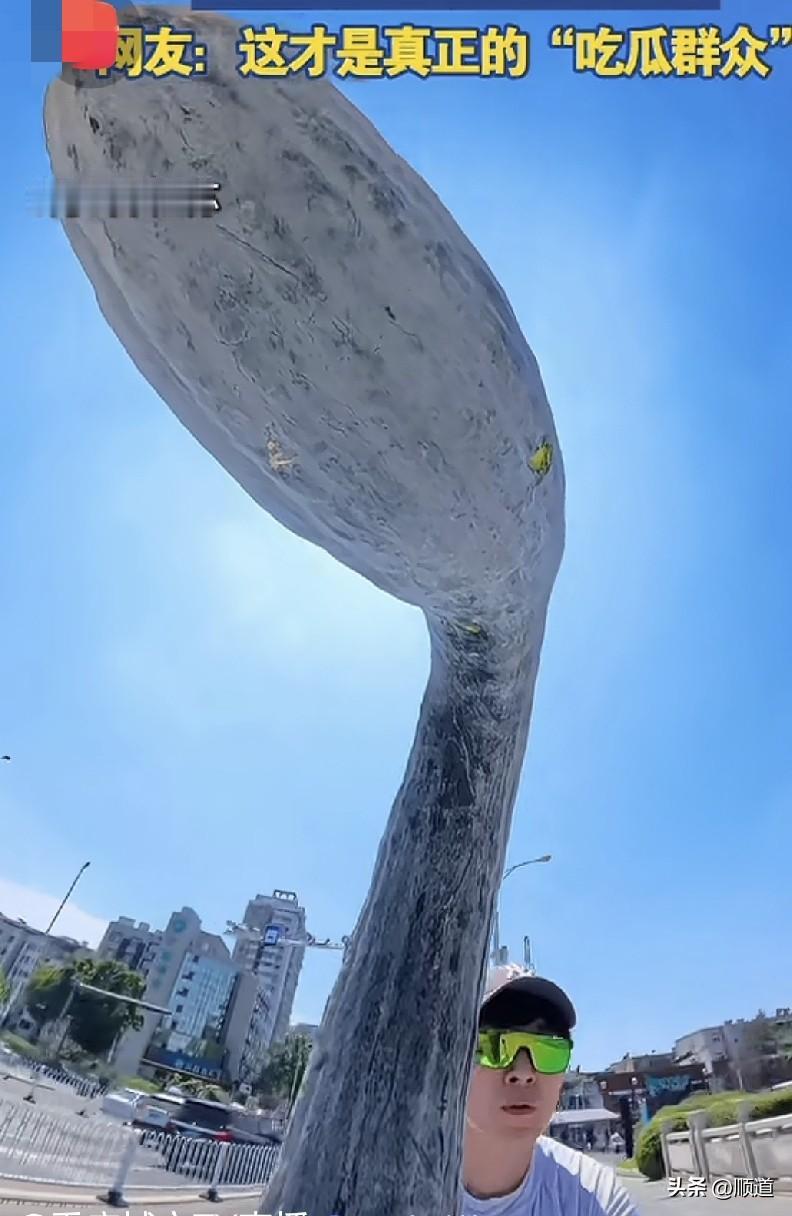 哈哈，可惜我不在江苏。
8月9日，江苏男子车筐里立着一个超大南瓜，有多大呢？至少