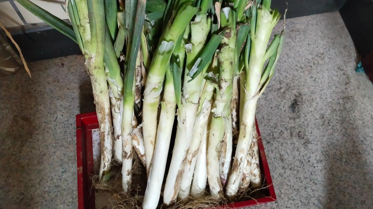 大葱才0.49元一斤，我足足排了两个小时队，结果全家人都不领情，我该怎么办？
早