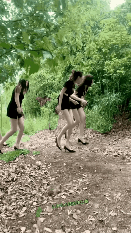 这几个美女是在找什么啊！
一色的穿着打扮，到小树林里寻找什么呢？怎么会出现这样的