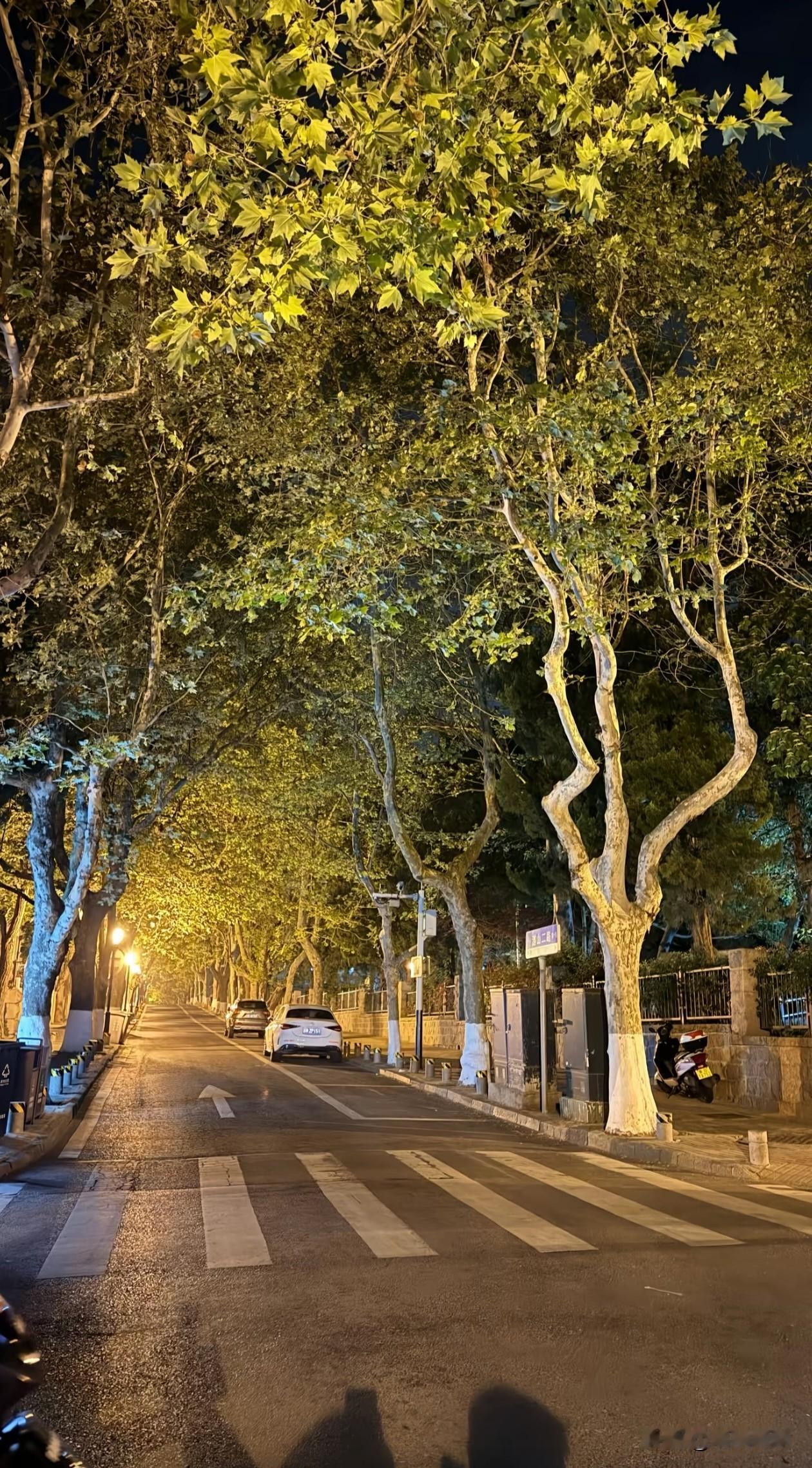 与厚道者同行，吃亏也是攒福报；🍵
与精明者纠缠，赢了道理输了心情；🎭
与算计