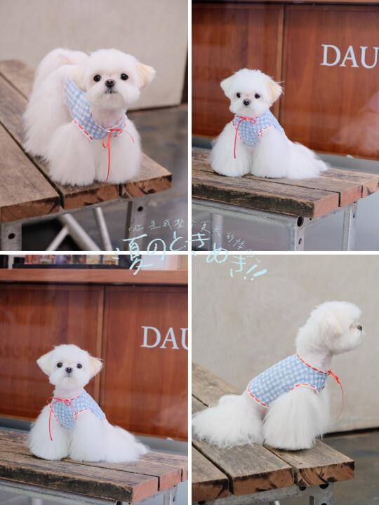 📸泥嚎，发个photoooooo～