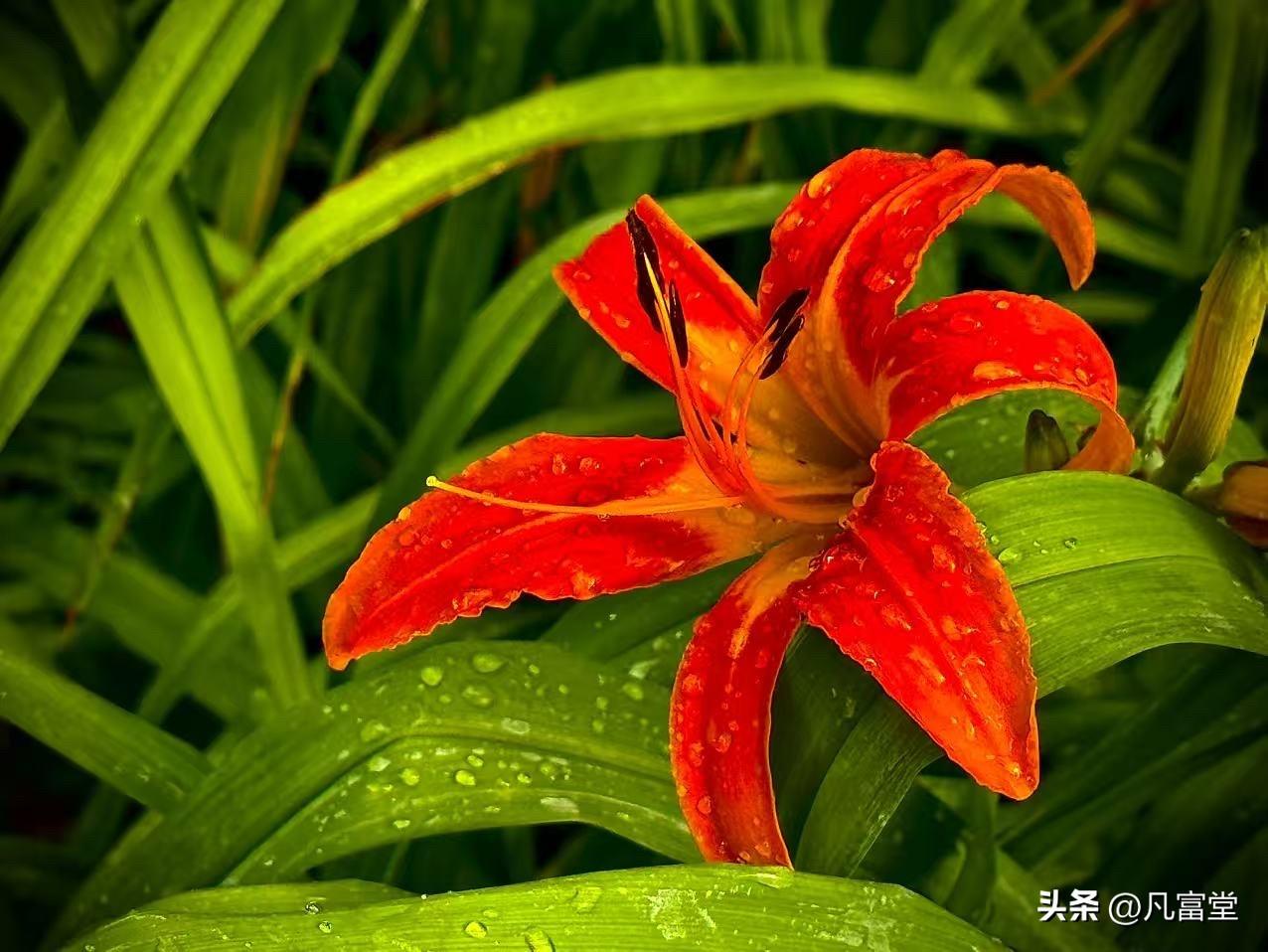 一场雨老泪纵横
             （原创）


一场雨老泪纵横
仿佛那些