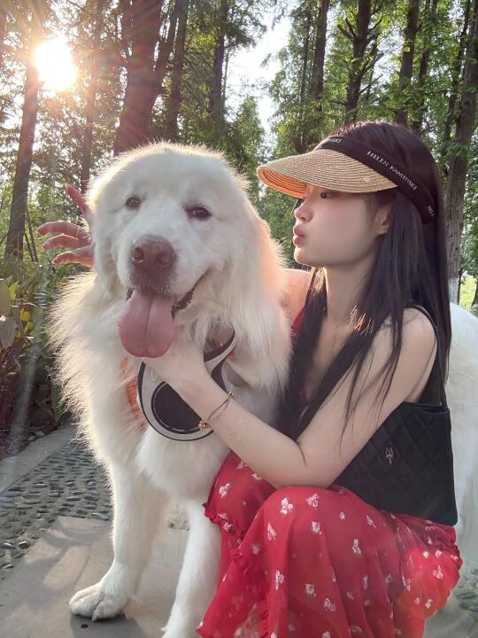 和大大的小狗狗 🐶🐾