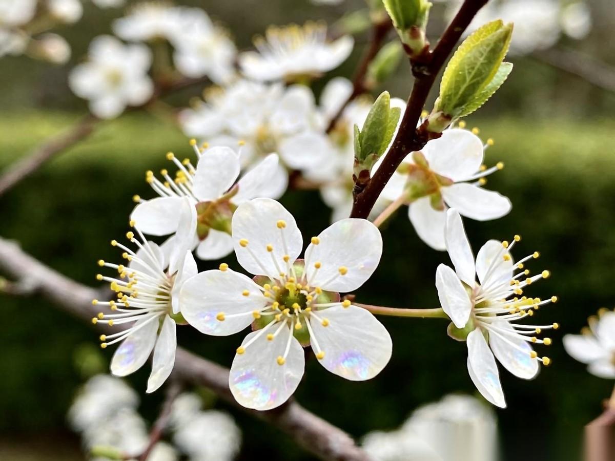刷到这段话，盯着看了好一会儿。“不要为养老焦虑，常人活不到90岁，顶多80岁出头
