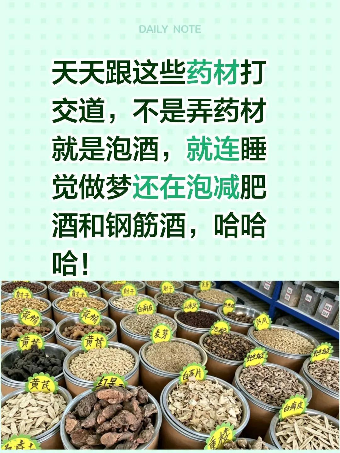 天天跟这些药材打交道，不是弄药材就是泡酒，就连睡觉做梦的时候还在泡减肥酒和钢筋酒