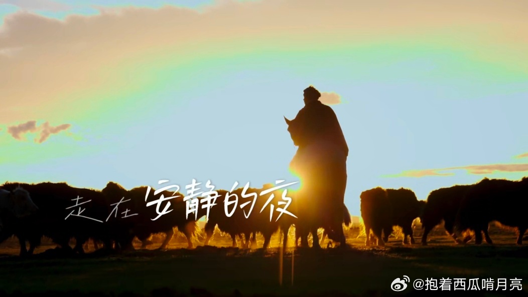黄河奔腾不息少年永远向前  河畔少年，心怀壮志。音乐为伴，梦想为帆，勇往直前，青