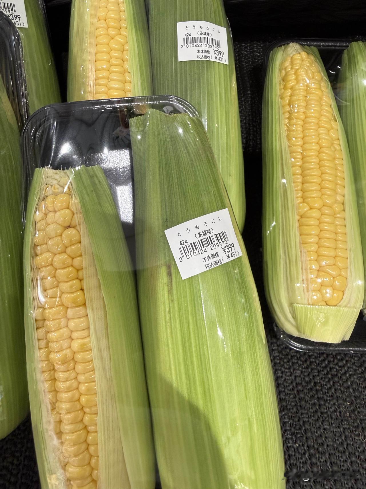 日本物价。两个玉米🌽，431日元。
今天日元汇率又跌了啊，目前100日元大致能