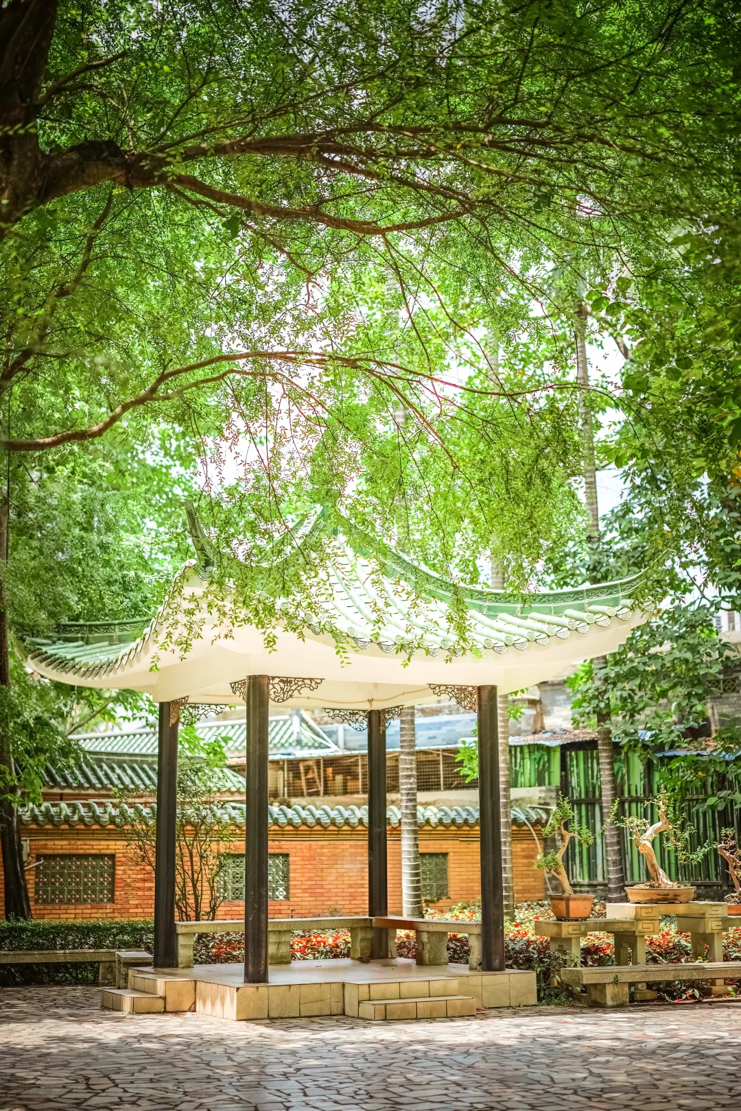 荔湾深处藏百年古园，清幽景致大多人未知晓