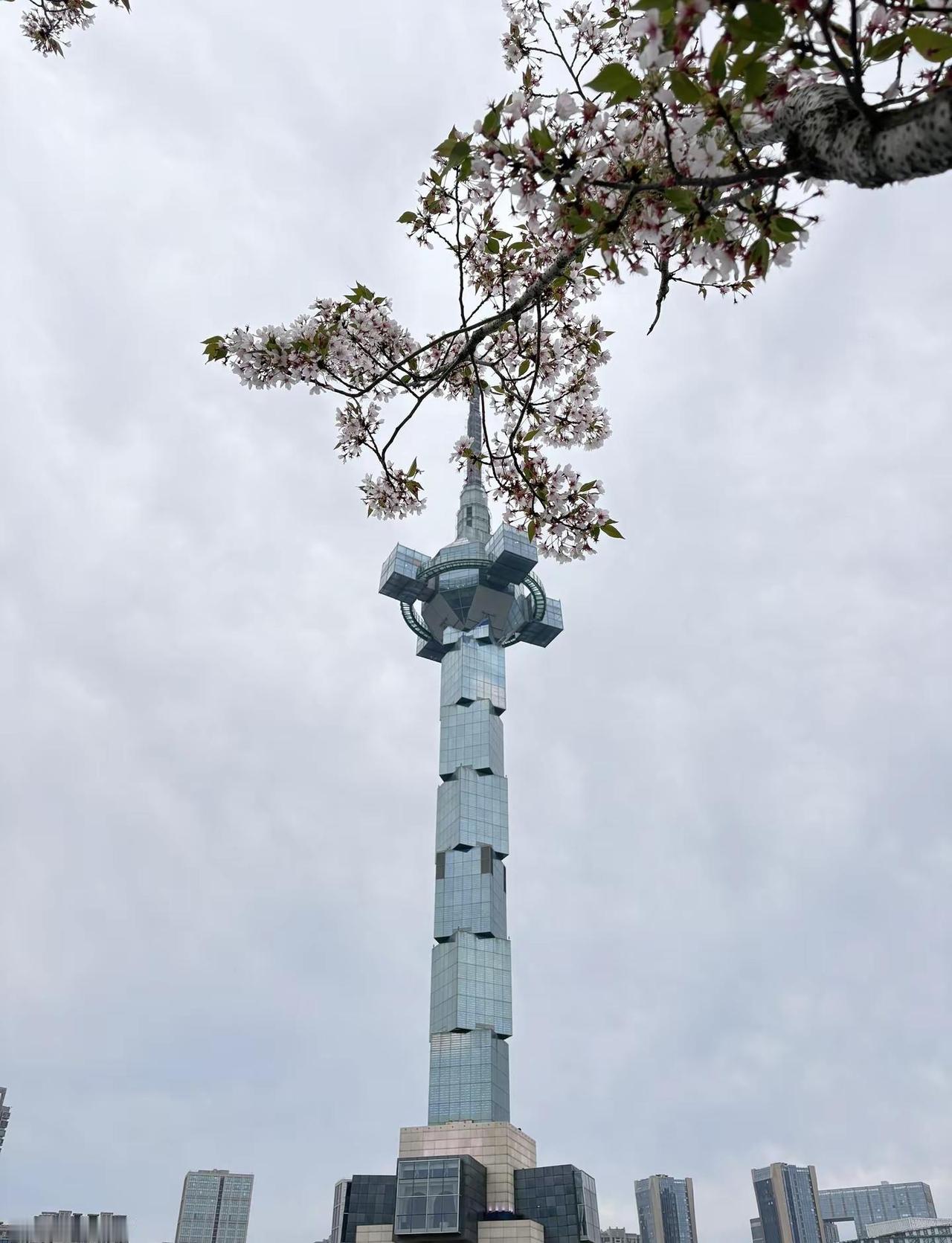 盐城天气好不好 你好不好