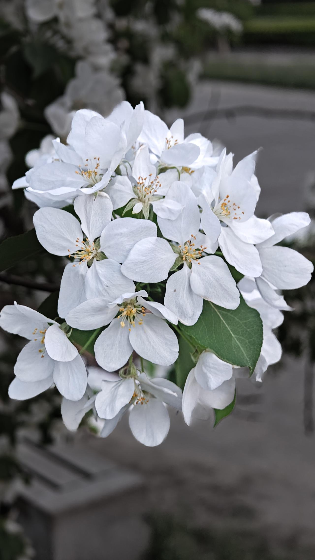 墓碑之后，是家庭温情的缺失
说两件糟心的事儿都跟墓碑有关

长沙亲姐弟 老爷子走