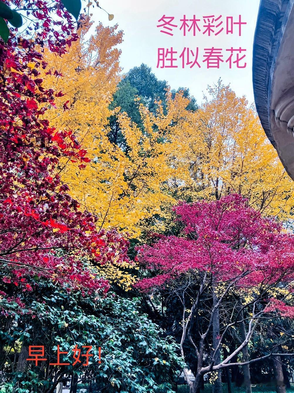 今日分享随手拍照片