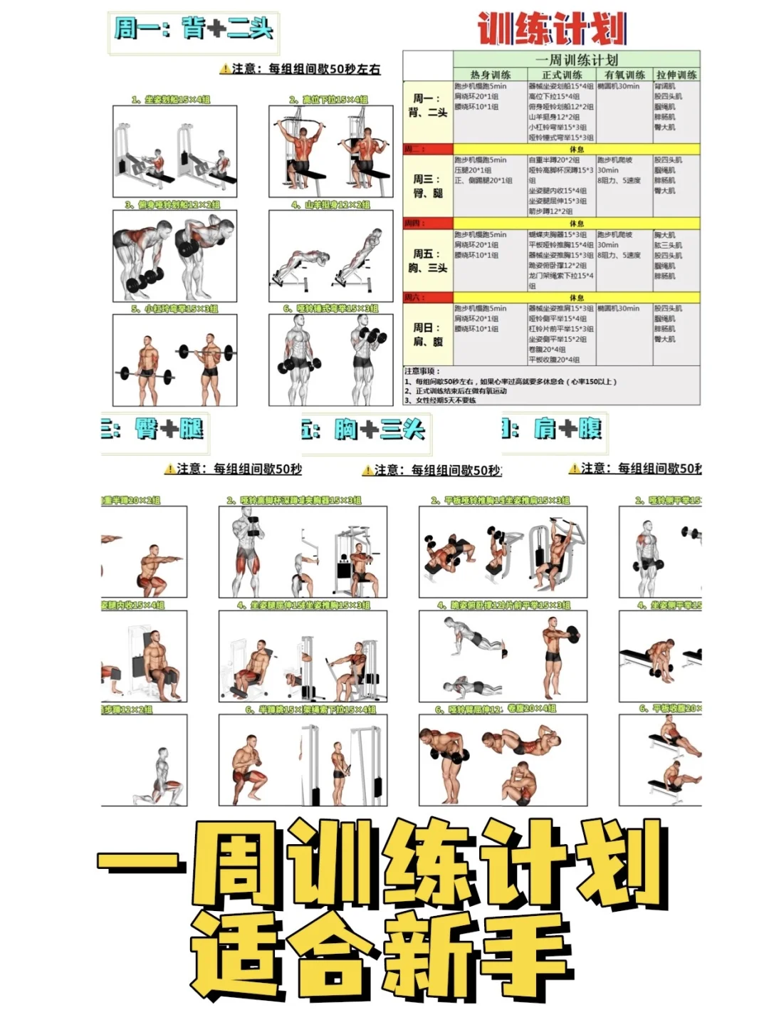 一周训练计划！适合健身新手，年前冲刺瘦计划