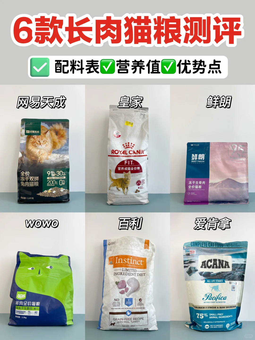 想要养成小胖猫？！选择长肉猫粮是关键！