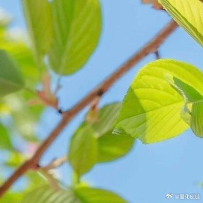 每日一善 善良是人生的正能量，是一种能够面对人生一切困苦的力量，是能够化解一切矛