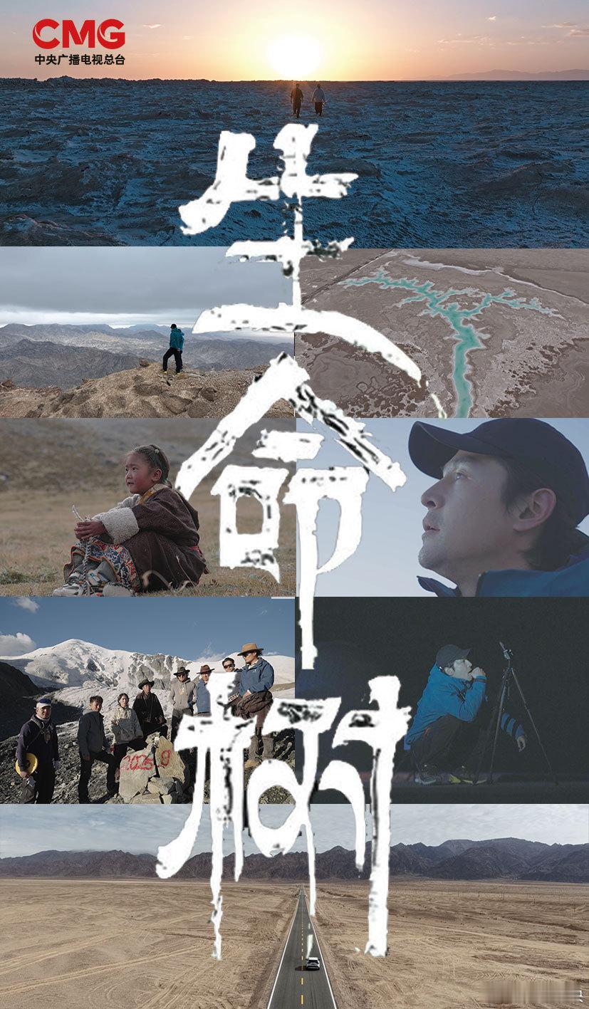 杨紫胡歌生命树来了于适配音央视纪录片2026央视王炸片单太顶了！杨紫胡歌首度合作