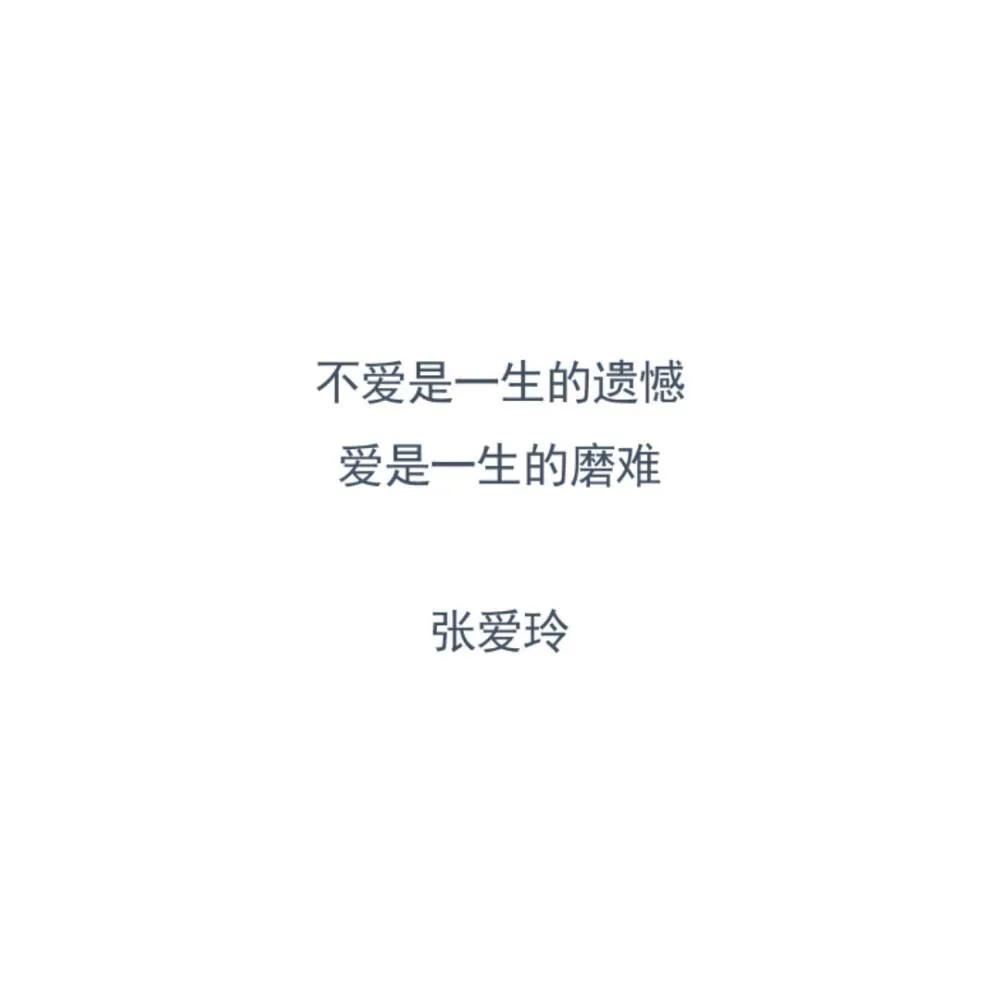 时代的车轰轰地往前开。我们坐在车上，经过的也许不过是几条熟悉的街衢，可是在漫天的