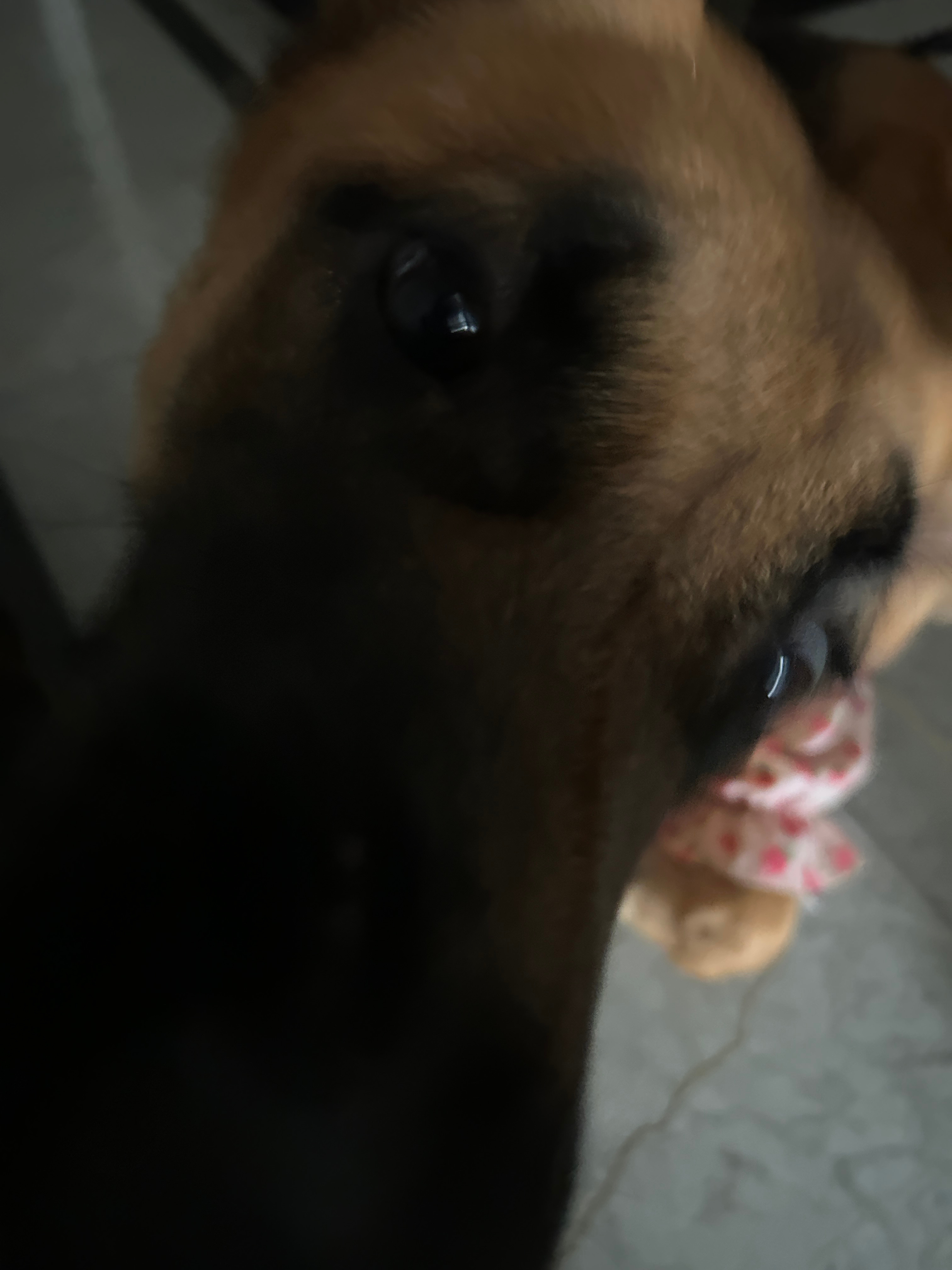 你这是怎么啦 