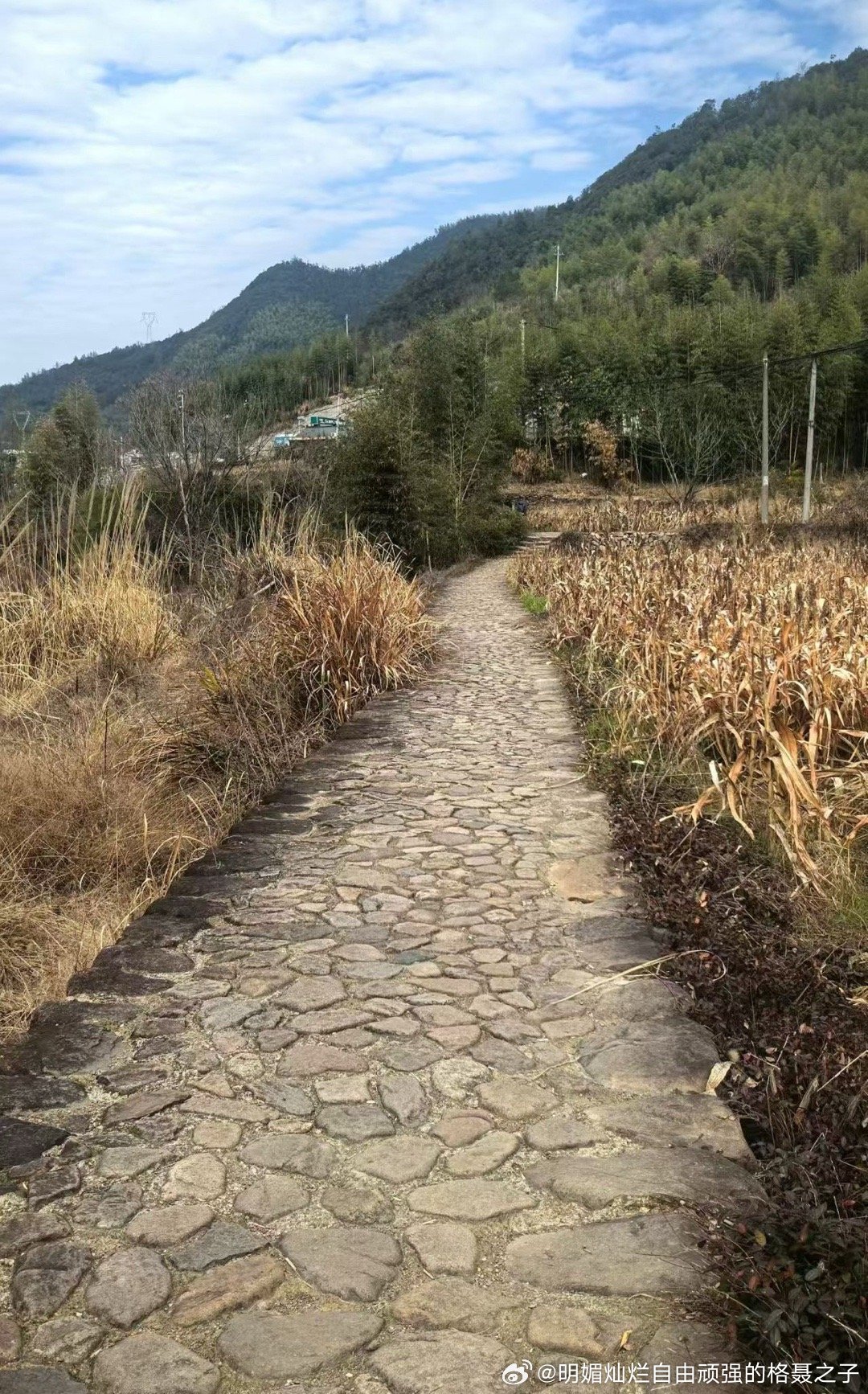 踏青的季节就快到咯 