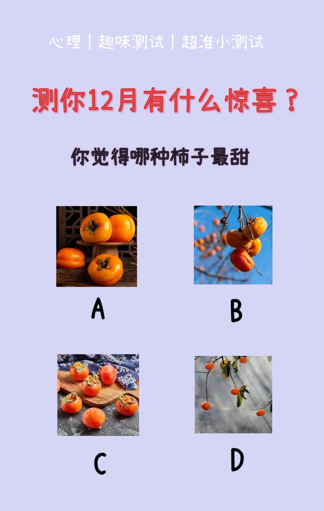 🔥测试｜测你12月有什么惊喜？