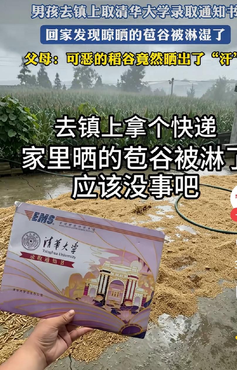 男子在家晒苞谷，就因为出去了一趟，结果苞谷都被雨淋了。网友都说这会你爹准不会打你