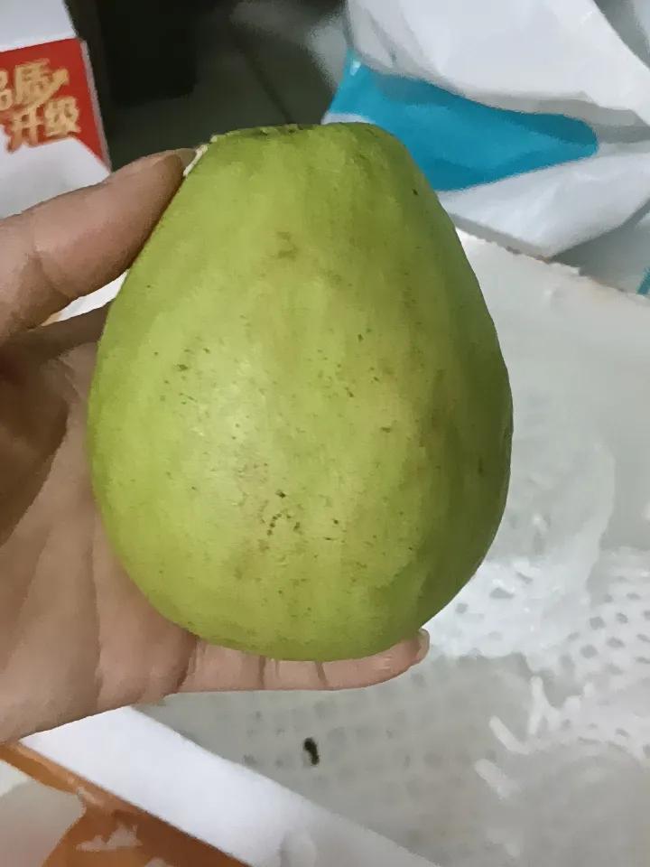 你吃番石榴会吃里面的籽吗里面的籽很难嚼，我一般都不吃！会把它吐出来