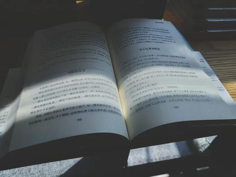 一个人打发时间的方式可太多了。我就喜欢阅读，不管是文学名著还是历史书籍，都能让我