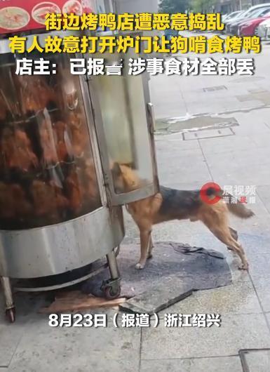 谁也想不到，街边开店做生意，还能遇上这么离谱又恶劣的一幕！浙江绍兴一家街边烤鸭店