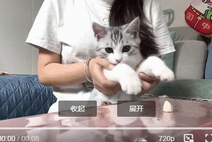 猫猫眼里全是对冻干的渴望 ​​​