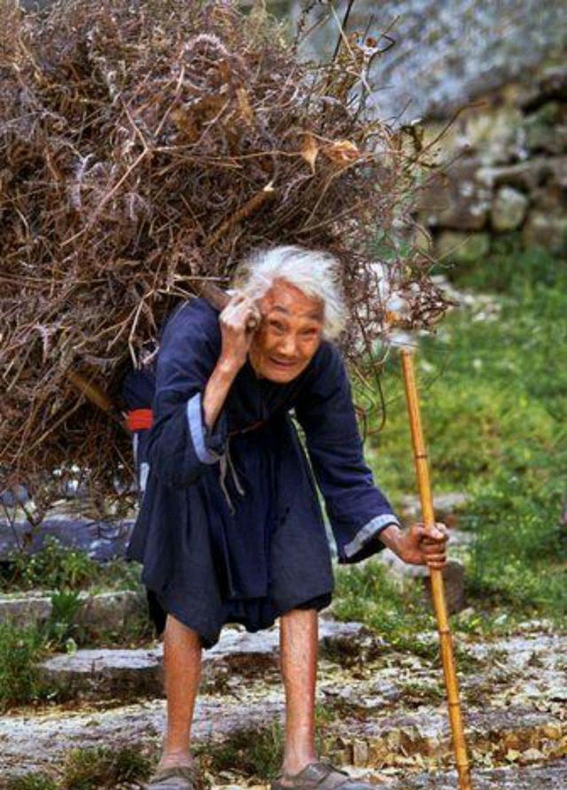 农业是一个国家稳定发展的根基，农民是农业活动的主要从业者。建国初期，百废待兴，每