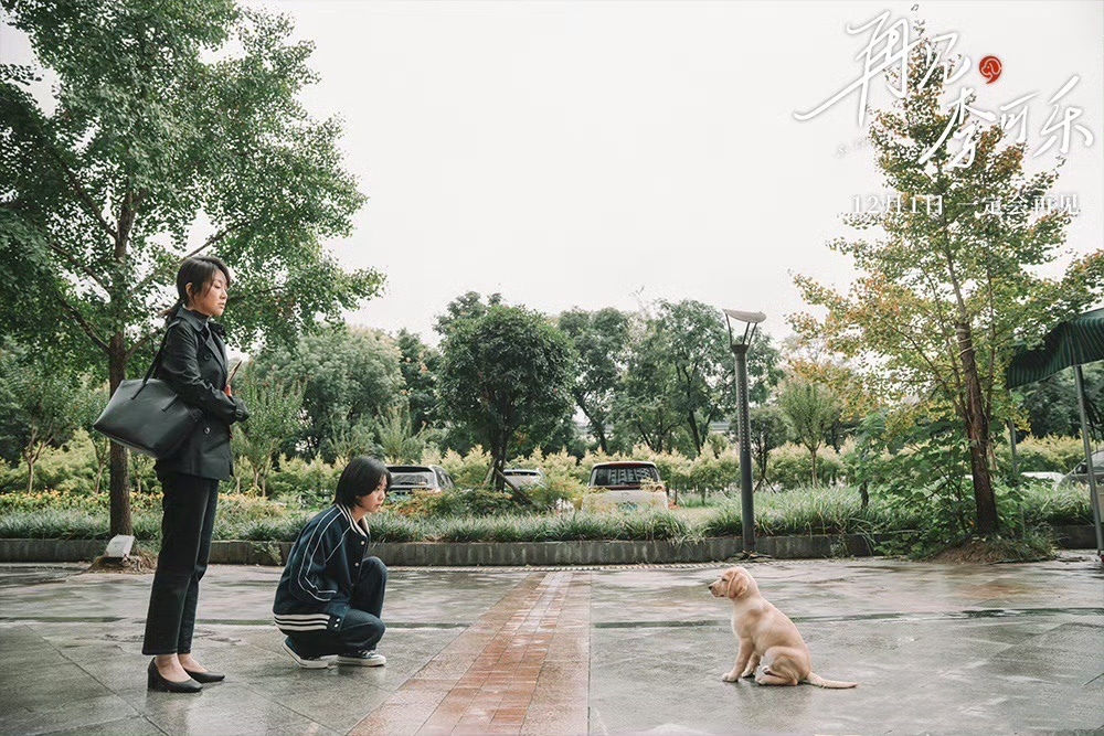 大人是失去亲人的小孩今天冲着闫妮和谭松韵去看了《再见李可乐》，前面很温情伤感，中