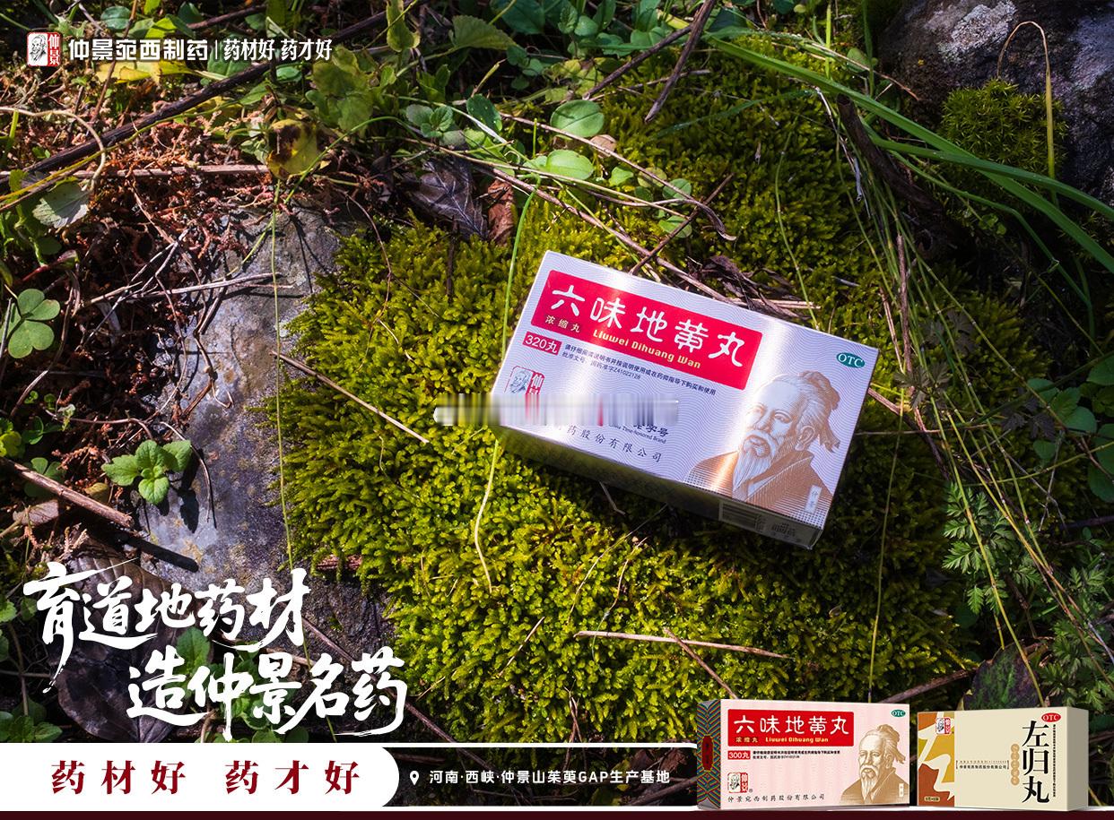 深秋的伏牛山，层林尽染，仿佛被大自然的画笔层层晕开，金黄与火红交织成一幅流动的画