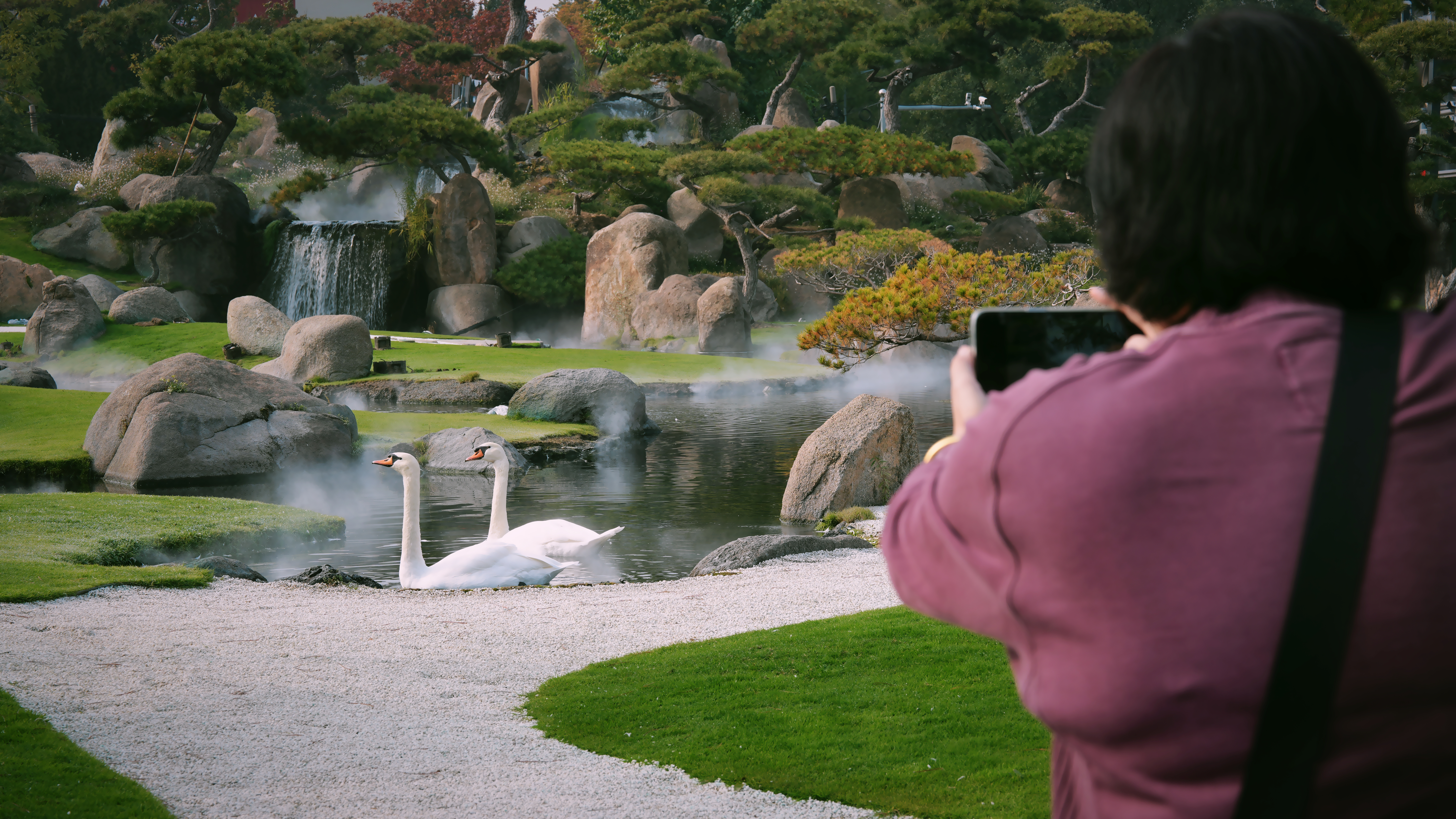 酒店边上不远就是好利来，来溜达溜达，真舒服的地儿，早年来过一次，喜欢摄影的朋友推