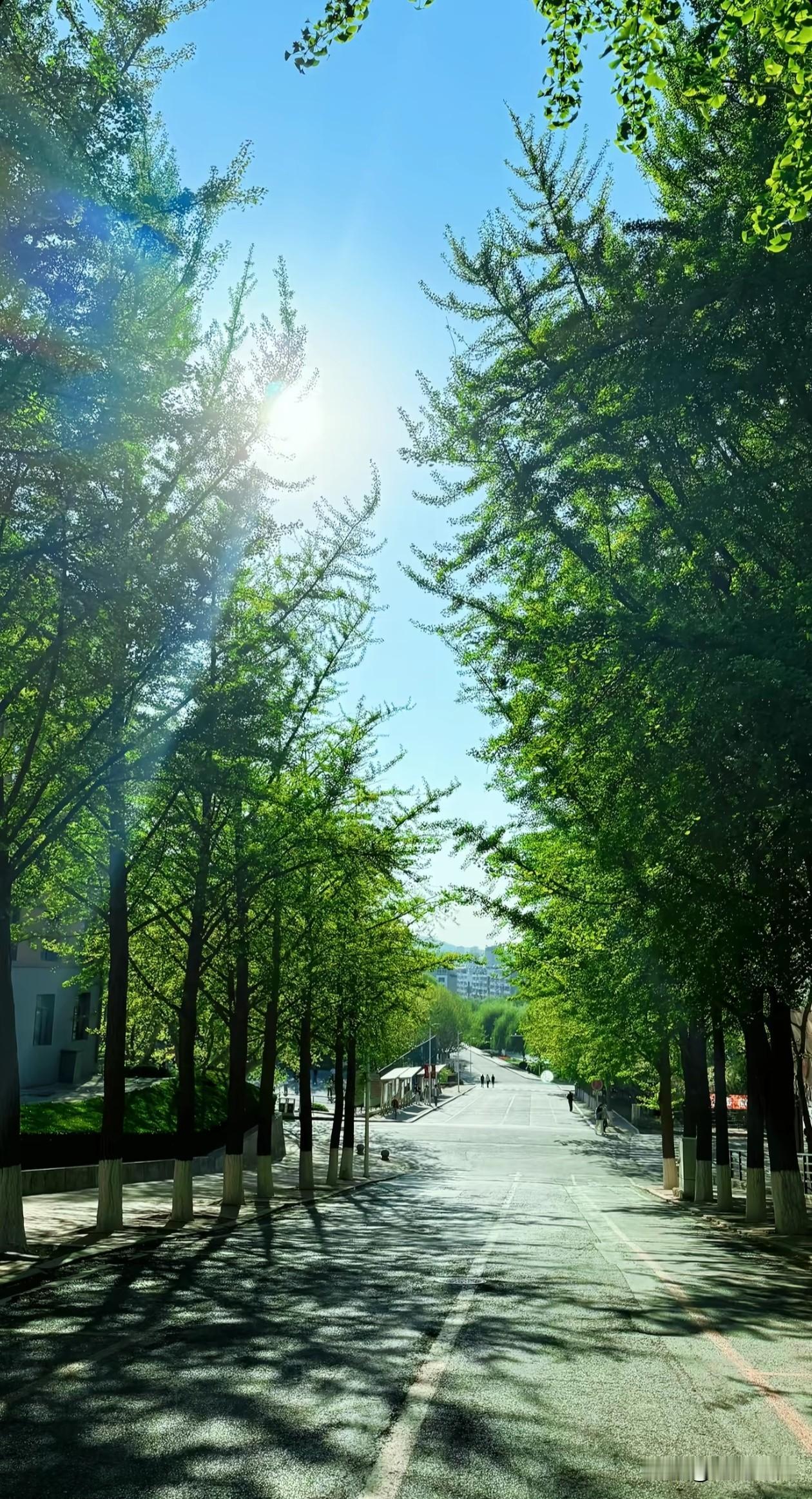 ╭───♫ ♬ ♪───────╮
❥   
 🌱人生是減法，来日并不方长，