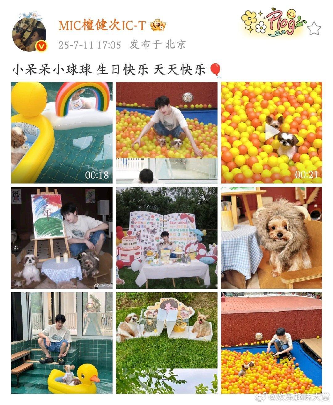 檀健次晒照为狗狗庆生被檀健次的狗狗生日派对可爱暴击了? 看他小心翼翼护着球池里的