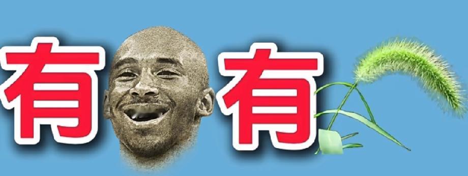 这张“有科比有狗尾草”的图，猜中成语的都是大神！你敢挑战吗？