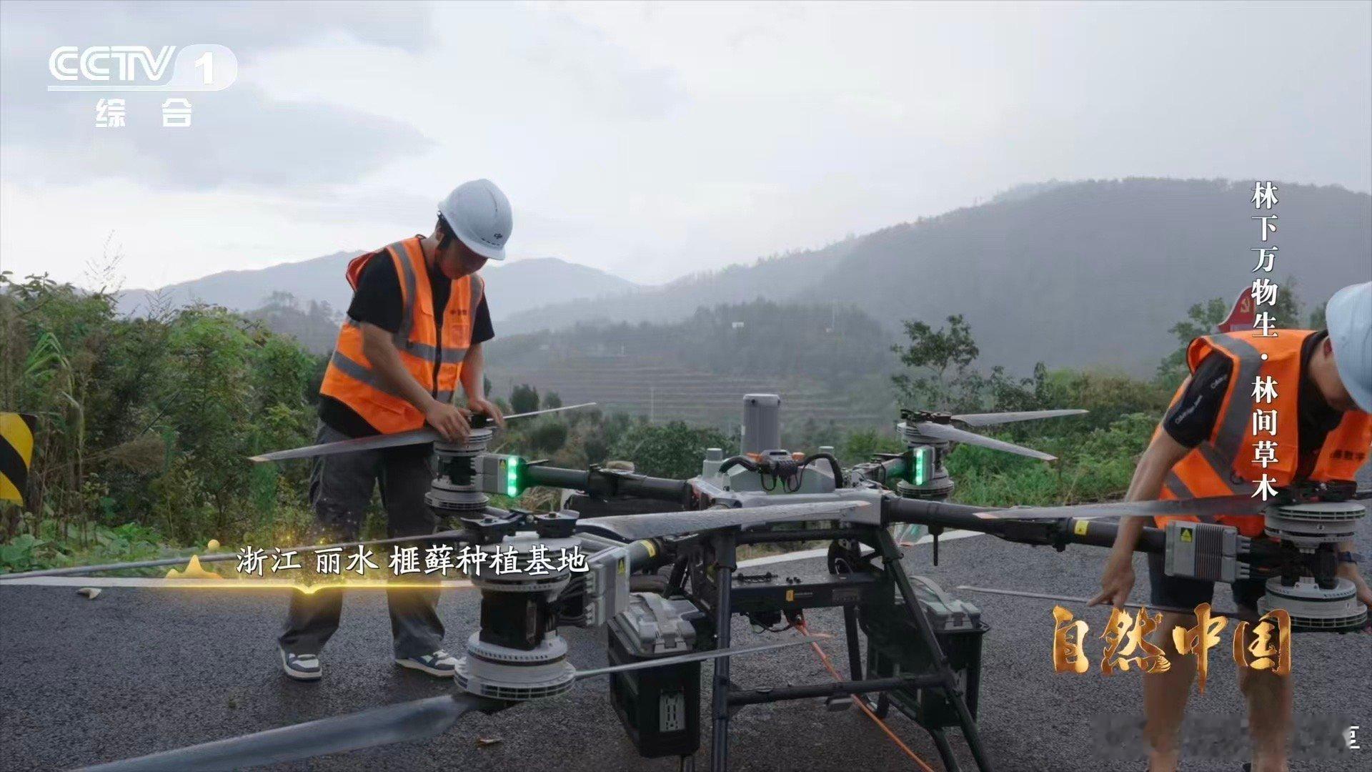 中国农村的科技含量越来越高一架架无人机在中国农村运货 丽水人的智慧，飞起来了！面