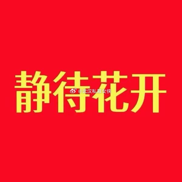 铁铁们晚上好！铁粉集合！明天开盘，我会把准备进场的标的提前发出来，不藏着掖着，主
